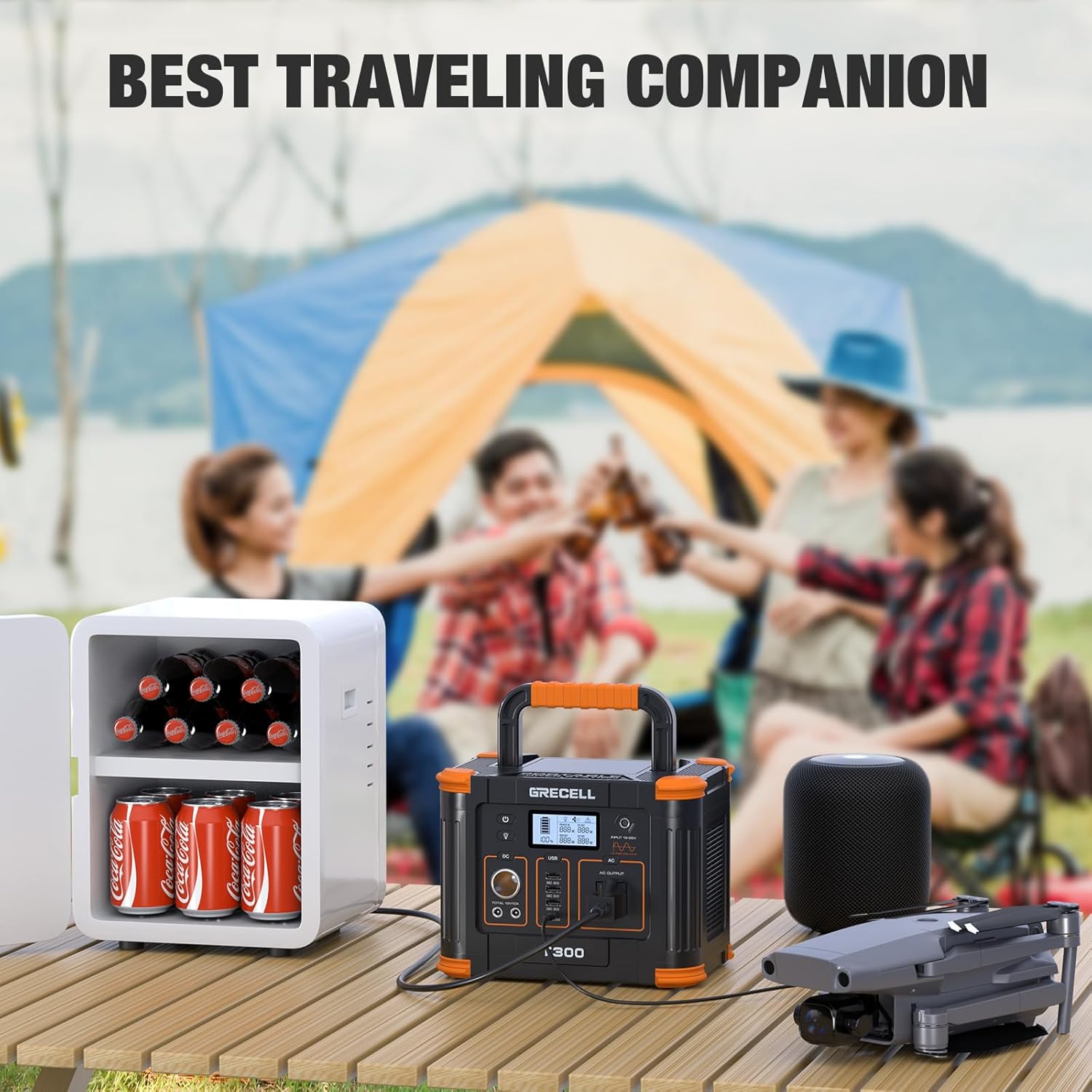 Portable Power Station 300W